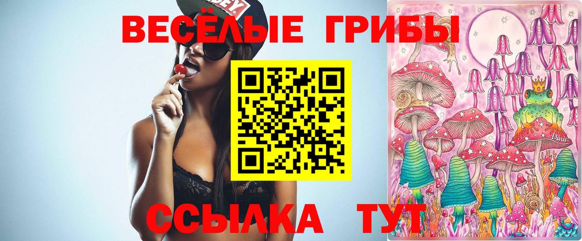Галлюциногенные грибы Psilocybe  Вход с VPN  Псилоцибиновые грибы GOLDEN TEACHER  Мичуринск 